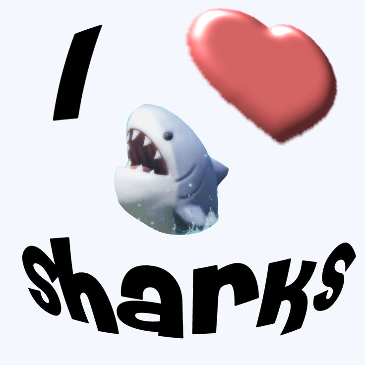 shark