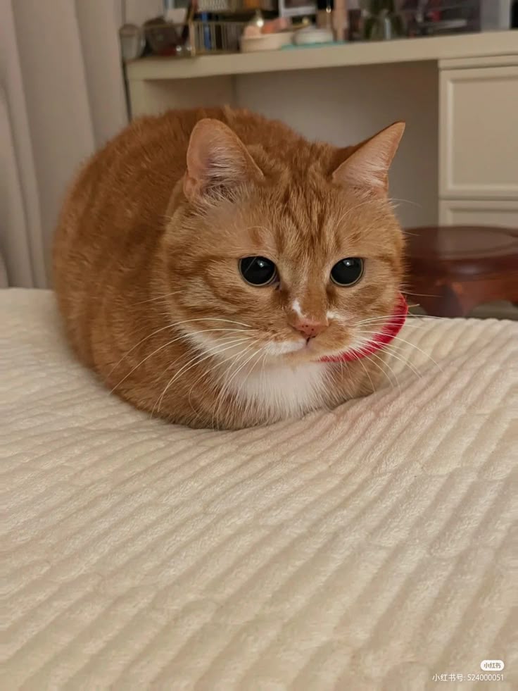 CUTE LOAFFF!!!!